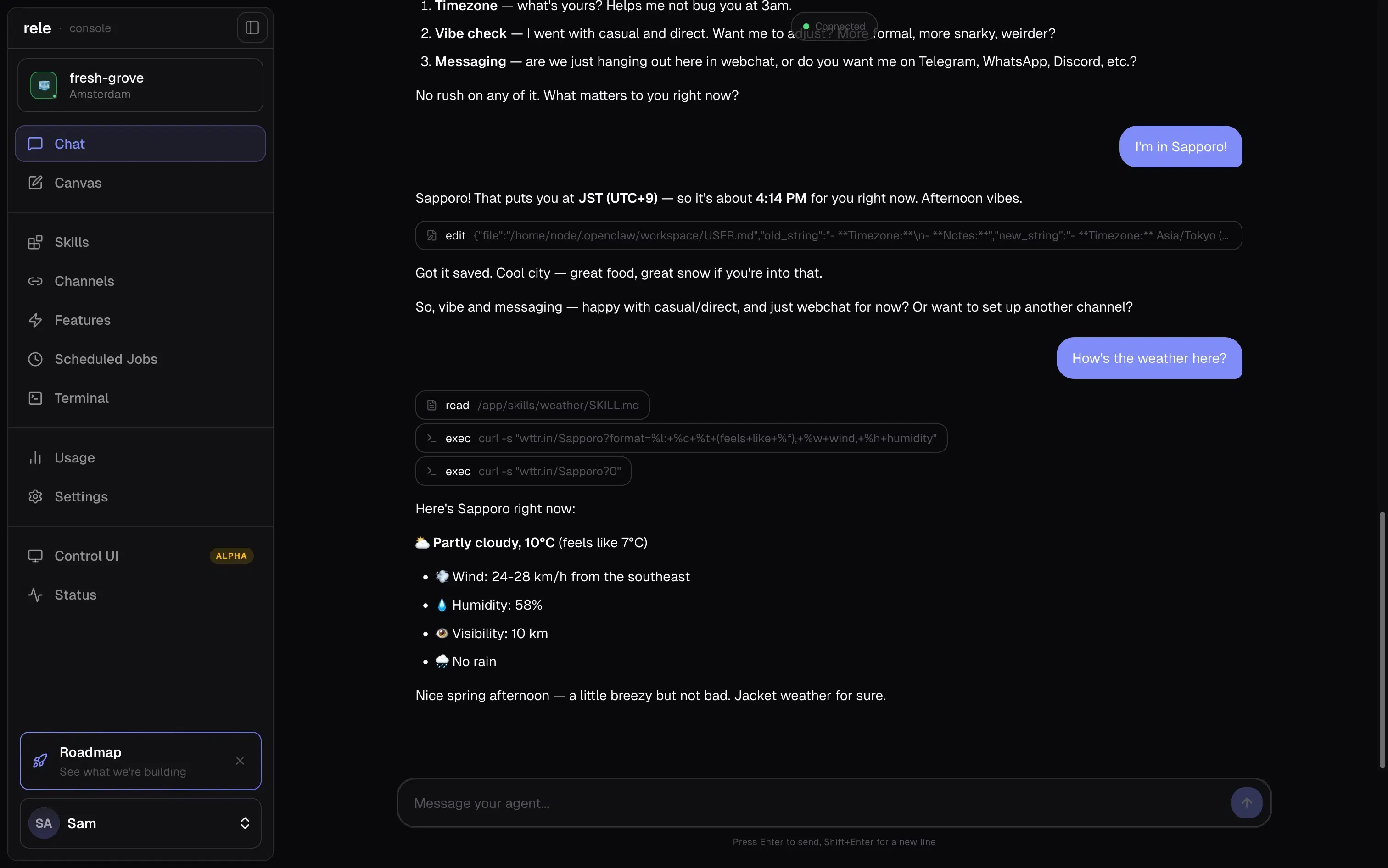 Chatting with an agent in Rele